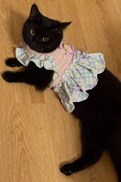 Minnie